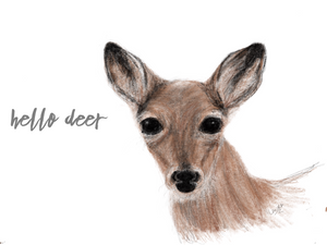 Hello Deer Greeting Card