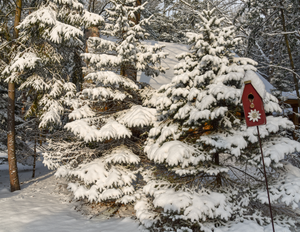 Snowy Diner Photo Print